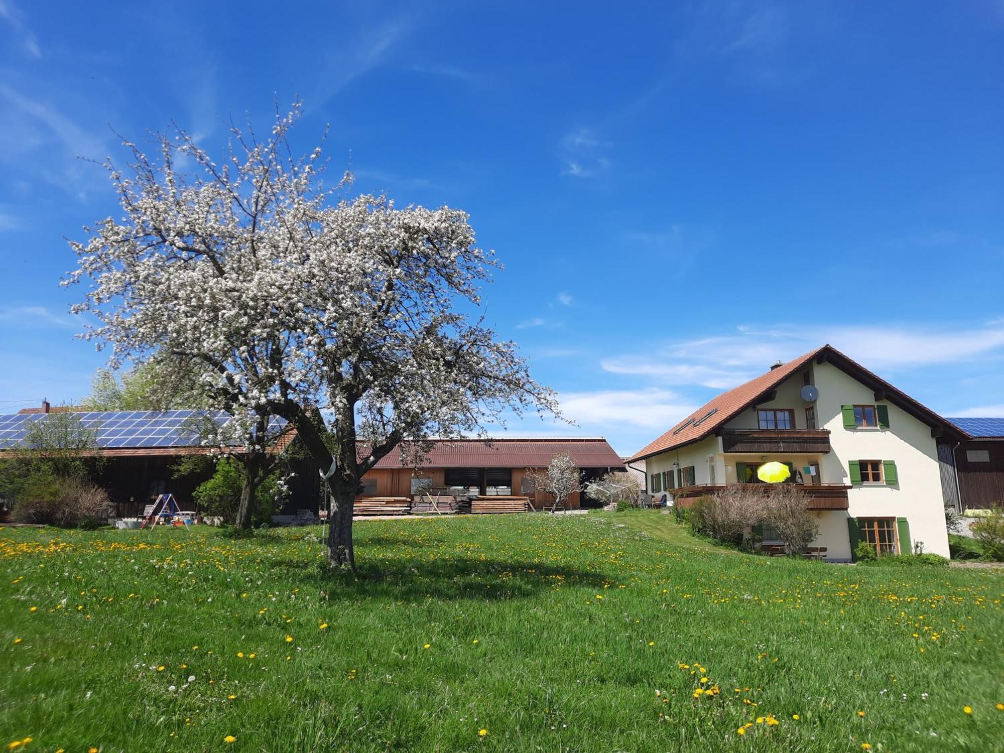 Bauer Haug Dietmannsried Exterior foto
